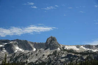 DSC_0009 (Large).JPG